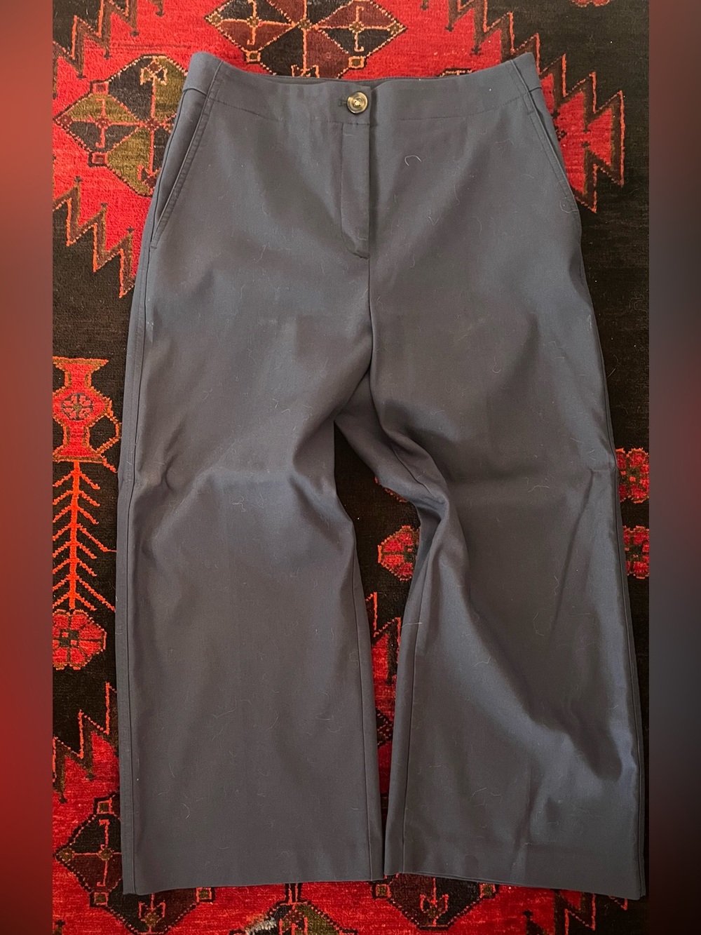 Ann Taylor Black Cropped Pull-On Pants